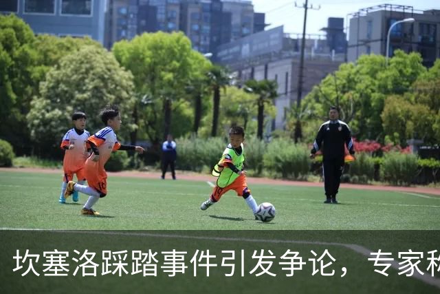 坎塞洛踩踏事件引发争论，专家称未判红牌但漏判黄牌
